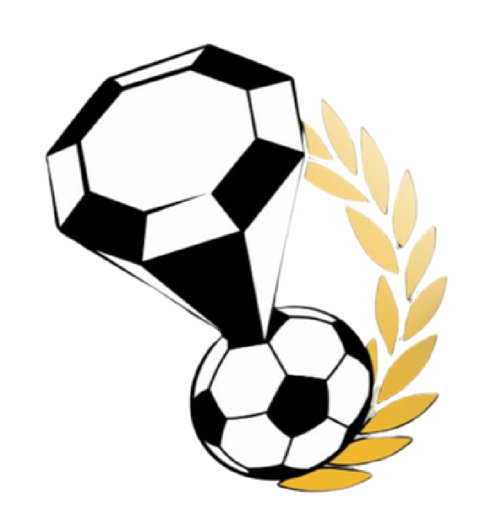 DIAMONDS ACADEMY